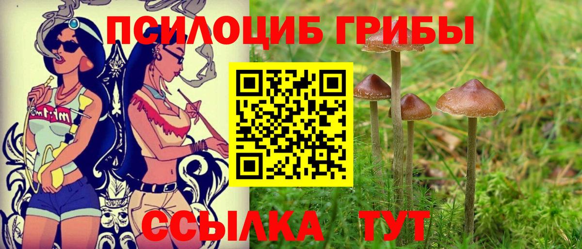 Галлюциногенные грибы Cubensis  цена наркотик  Псилоцибиновые грибы ЛСД  Ачинск  Вход с VPN 