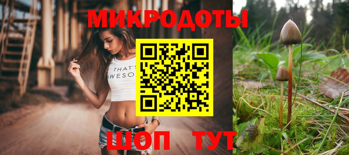 Псилоцибиновые грибы прущие грибы Ачинск